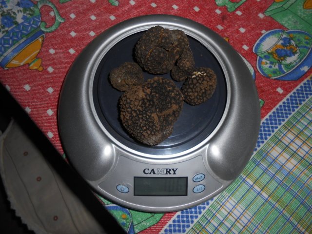 106 gr fileminimizer